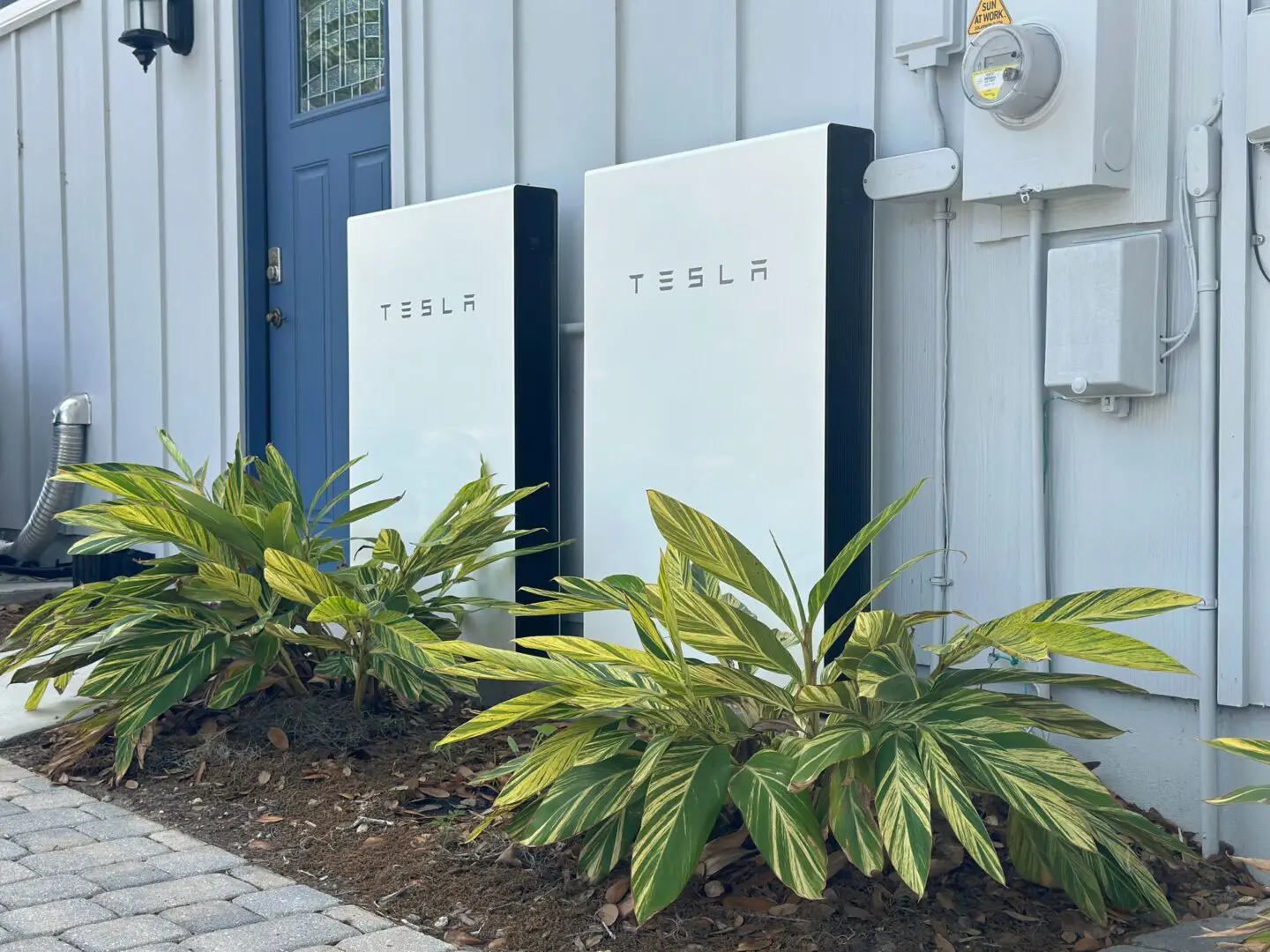 Two Tesla Powerwall units installed on the exterior wall of a house, with green plants in the foreground and a blue door nearby.