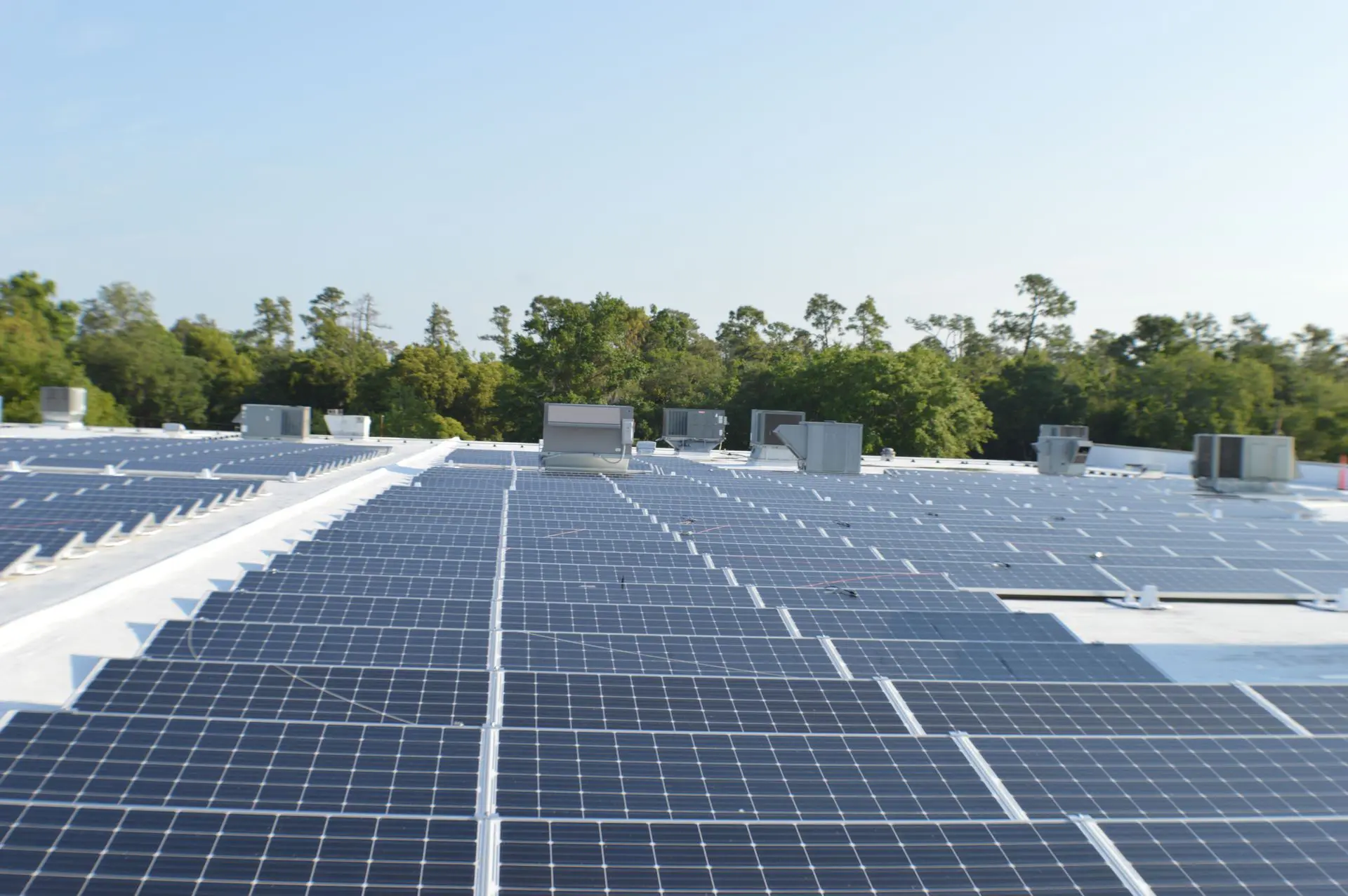 DSC_0317-c7bafdf4-2880w A large solar panel array with trees in the background.