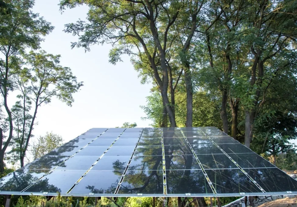Solar panels installed outdoors with trees in the background, reflecting the sky.