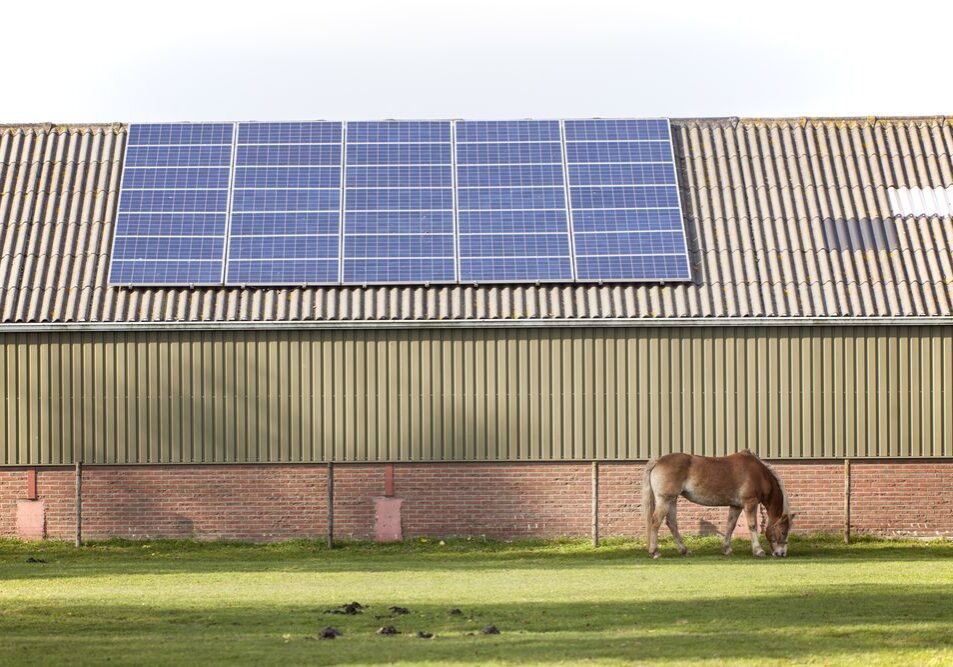 A horse grazes on grass in front of a building with solar panels on its roof.