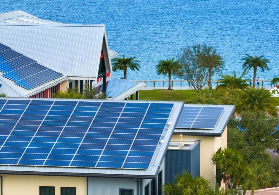Roofs with solar panels are visible in the foreground, with a view of the ocean and palm trees in the background.